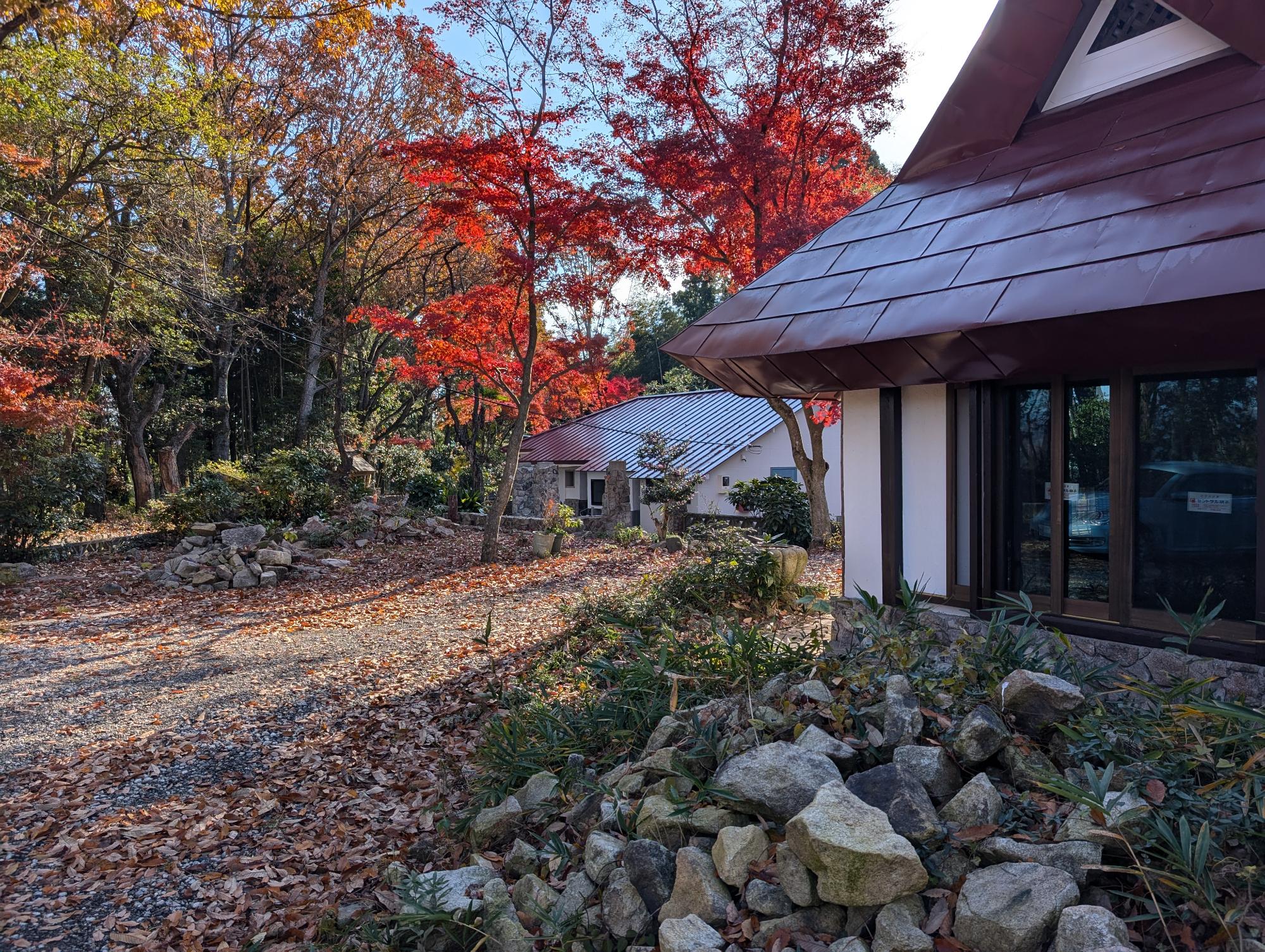 アートガーデン紅葉