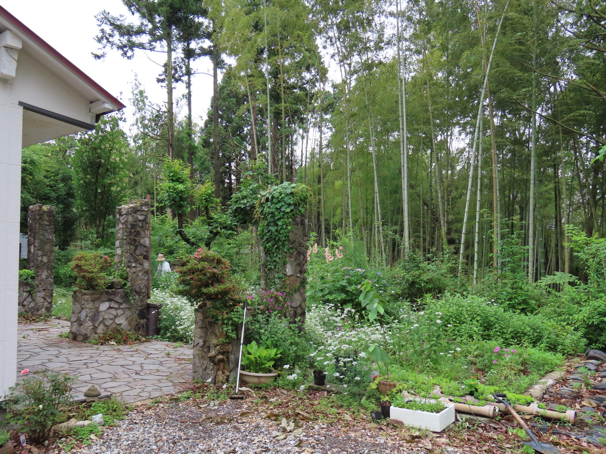 母屋庭